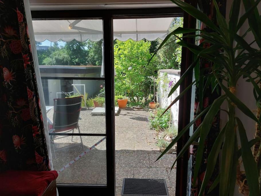 Grosszuegige Wohnung Mit Terrasse Wuerzburg, Zell Zell am Main Exterior foto